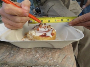 Kai measuring the proportional sharing of a cinnamon roll at SAM, Biosphere 2