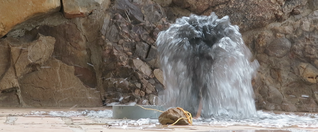 Cleaning the unthinkable! SAM at Biosphere 2