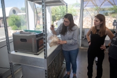 SAM_Inclusion1_Klos047