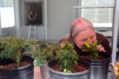 SAM_Inclusion1_Klos054