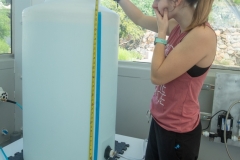 SAM_Inclusion1_Klos025