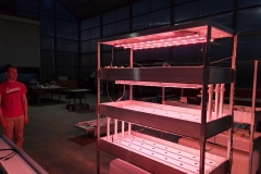 20240222_183137-glow