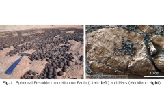 2018-12-25-Fig1-Yoshida