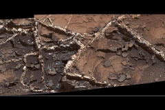 7529_pia19922_Blaney2-full2