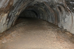 tube-is-easy-to-walk